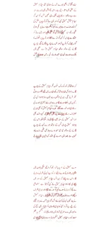 6.webp