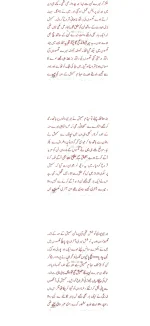8.webp